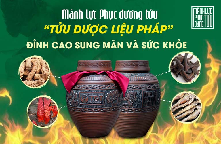 Mãnh lực Phục dương tửu được phối chế theo "tửu dược liệu pháp" của Y học cổ truyền