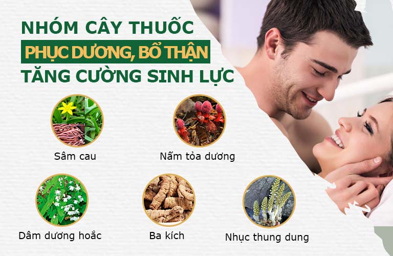 Các vị thuốc phục dương kinh điển giúp tăng cường sinh lý mạnh mẽ