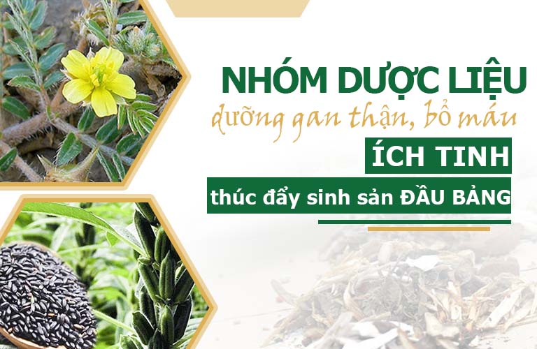 Vừng đen, bạch tật lê giúp cải thiện hiệu quả chức năng sinh sản của nam giới