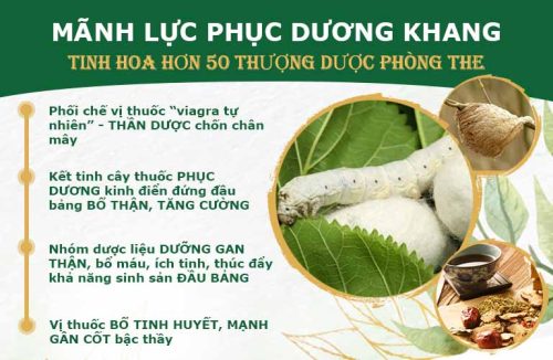 Giải Mã 50 THƯỢNG DƯỢC Phòng The Quy Tụ Trong Bài Thuốc Sinh lý Mãnh Lực Phục Dương Khang