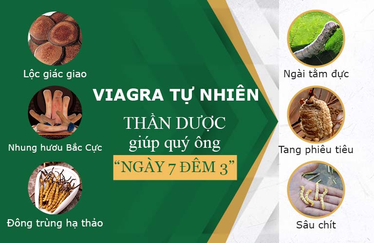 “Viagra tự nhiên” giúp quý ông sung mãn chốn phòng the