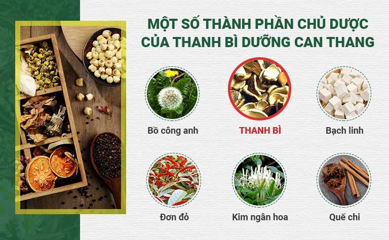 Bài thuốc quy tụ những vị thuốc quý