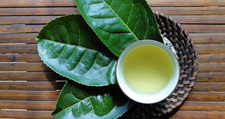 Bài thuốc Nam chữa gan nhiễm mỡ từ cây trà xanh