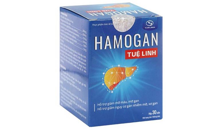 Thuốc Hamogan trị gan nhiễm mỡ