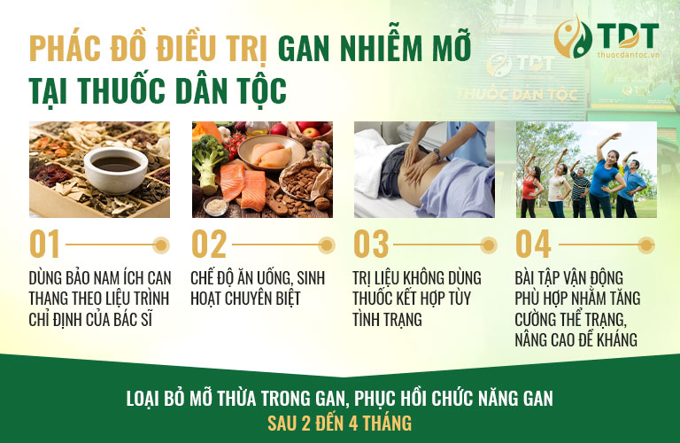 Phác đồ điều trị gan nhiễm mỡ tại Trung tâm Thuốc dân tộc