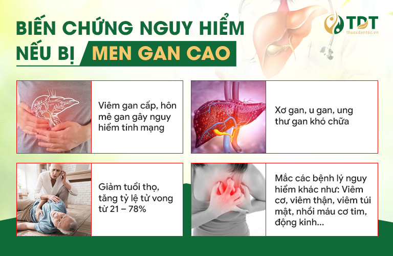 Biến chứng nguy hiểm của bệnh men gan cao