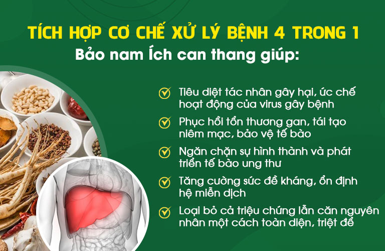 Cơ chế điều trị, tác động của Bảo nam Ích can thang