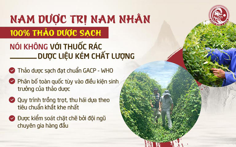 Nhất Nam Y Viện sử dụng 100% nam dược sạch