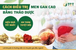 Lời khuyên điều trị men gan cao