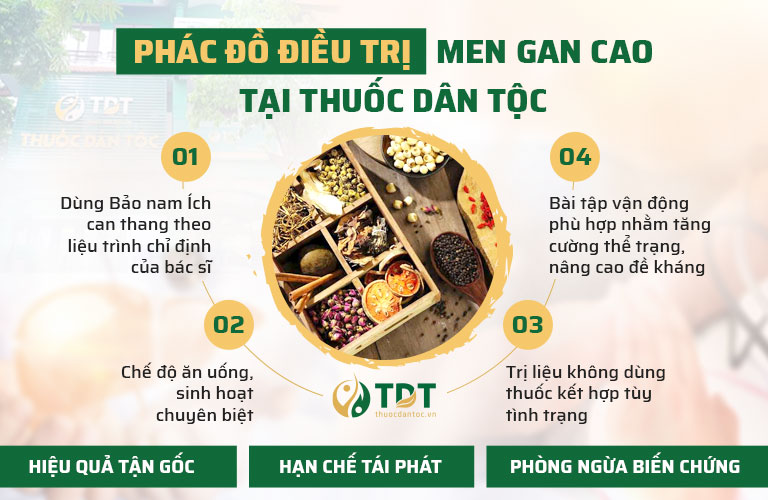 Phác đồ điều trị men gan cao hiệu quả tại Thuốc dân tộc