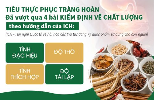 4 bài test kiểm định chất lượng theo hương dẫn của Hội nghị quốc tế về hài hòa các thủ tục đăng ký dược phẩm sử dụng cho con người (ICH)