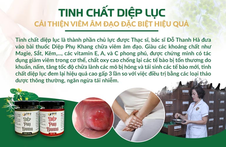 Tinh chất diệp lục là thành phần chủ dược, giúp đẩy mạnh hiệu quả của Diệp Phụ Khang trong điều trị viêm âm đạo cho người bệnh