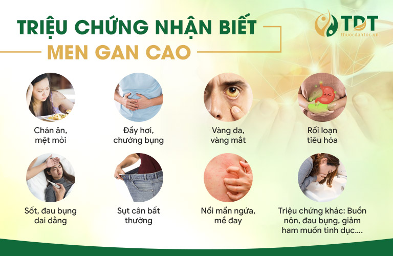 Một số triệu chứng điển hình của người mắc men gan cao