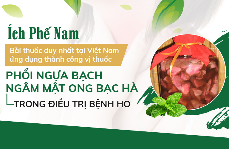 Bài thuốc đầu tiên ứng dụng thành công thành phần phổi ngựa bạch ngâm mật ong