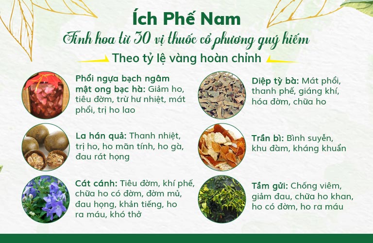 Một số thành phần chính trong bài thuốc Ích Phế Nam