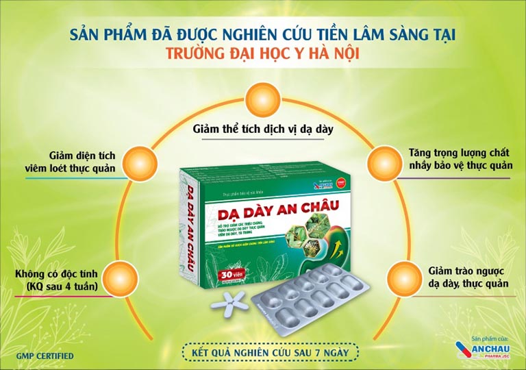 Dạ Dày An Châu