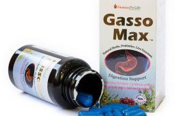 Gasso Max