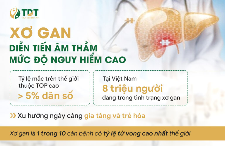 Xơ gan là gì