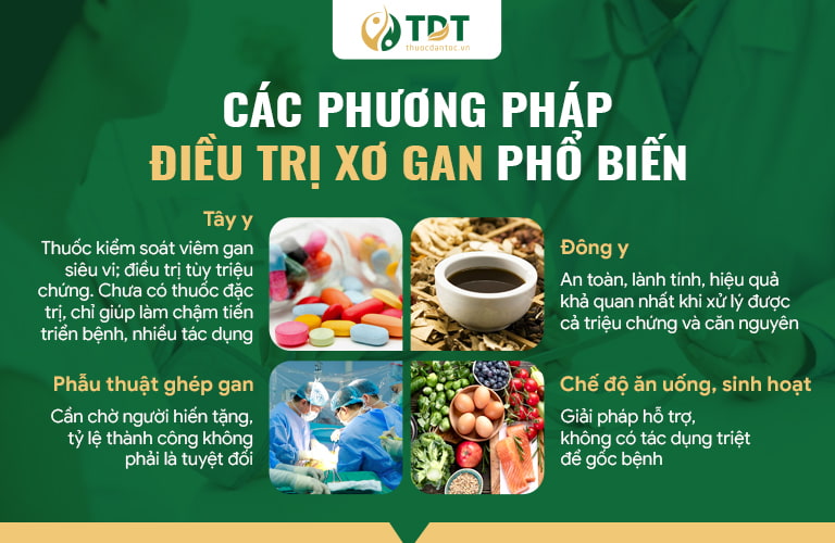 cách điều trị xơ gan