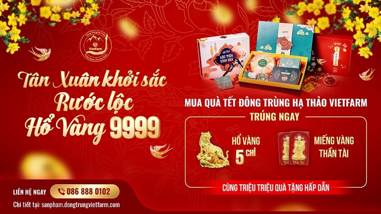 Cơ hội trúng hổ vàng 5 chỉ từ quà Tết Đông trùng hạ thảo Vietfarm