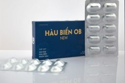 Hàu Biển OB NEW