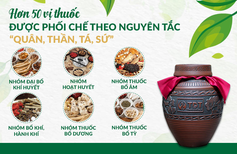 Mãnh lực Phục dương tửu phối chế các nhóm thuốc theo nguyên tắc Y học cổ truyền