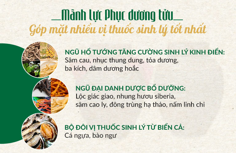 Mãnh lực Phục dương tửu phối chế hơn 50 vị thuốc sinh lý tốt bậc nhất