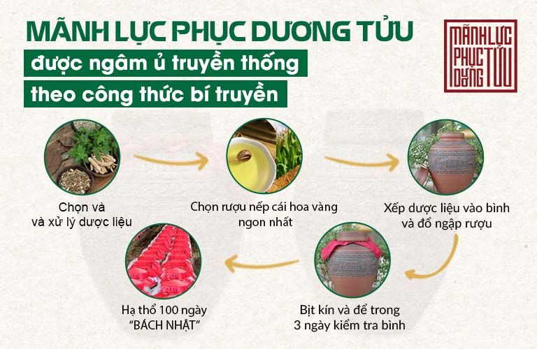 Quy trình ngâm ủ một chum rượu thuốc Mãnh lực Phục dương tửu