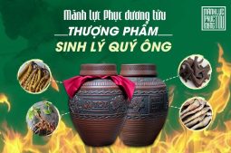 Mãnh lực Phục dương tửu - Tửu dược liệu pháp từ Y học cổ truyền