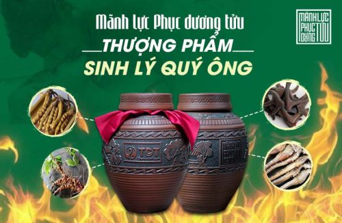 Mãnh lực Phục dương tửu - Tửu dược liệu pháp từ Y học cổ truyền