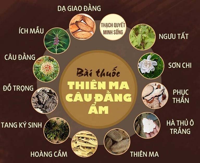 bài thuốc đông y trị rối loạn tiền đình