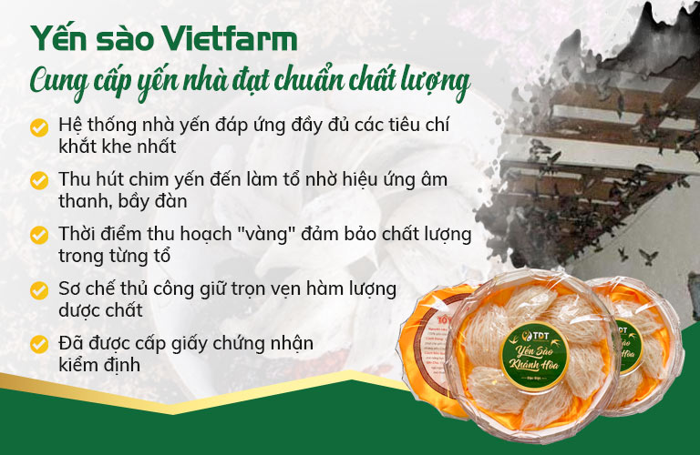 Trung tâm Vietfarm xây dựng hệ thống nhà yến đạt chuẩn kỹ thuậ