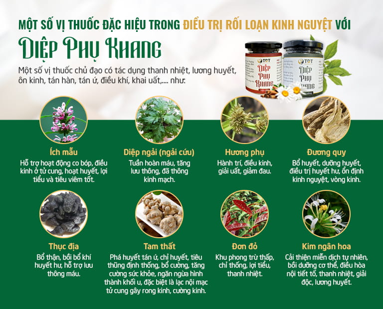 Một số vị thuốc đặc trị được sử dụng trong bài thuốc Diệp Phụ Khang chữa rối loạn kinh nguyệt