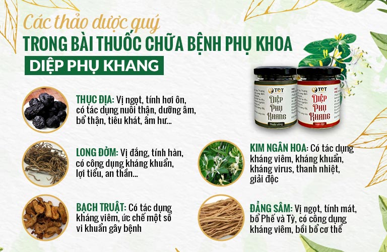 Những thành phần dược liệu cung cấp lượng tinh chất diệp lục cần thiết cho Diệp Phụ Khang