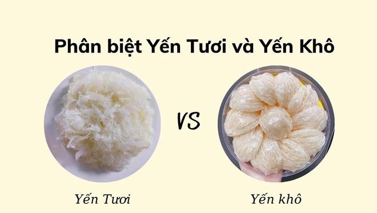 Yến tươi và yến khô cái nào tốt hơn?