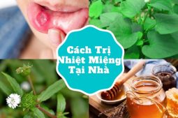 Cách trị nhiệt miệng tại nhà