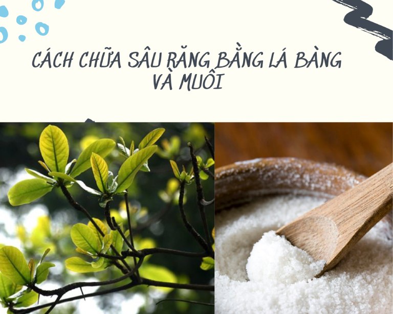 Lá bàng có thể kết hợp với muối để chữa sâu răng