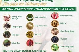 Bảng thành phần hòa quyện hơn 50 thảo dược quý hiếm