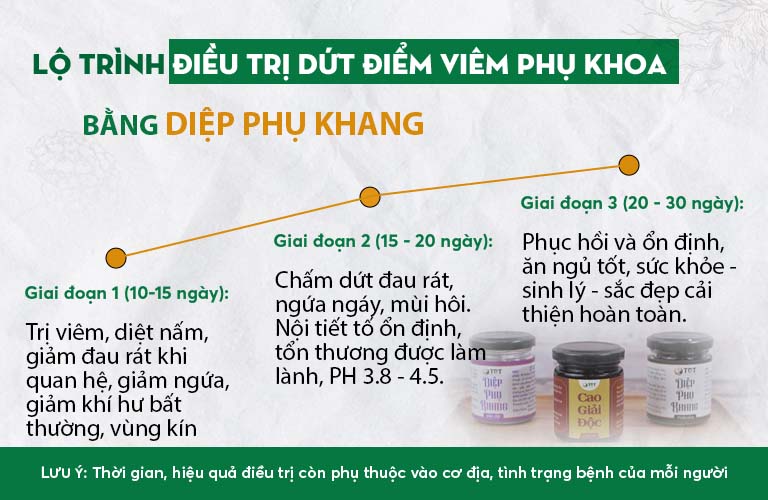 Lộ trình điều trị bệnh phụ khoa bằng Diệp Phụ Khang