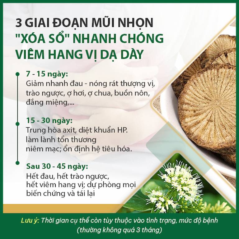 Lộ trình Sơ can Bình vị tán chữa viêm hang vị