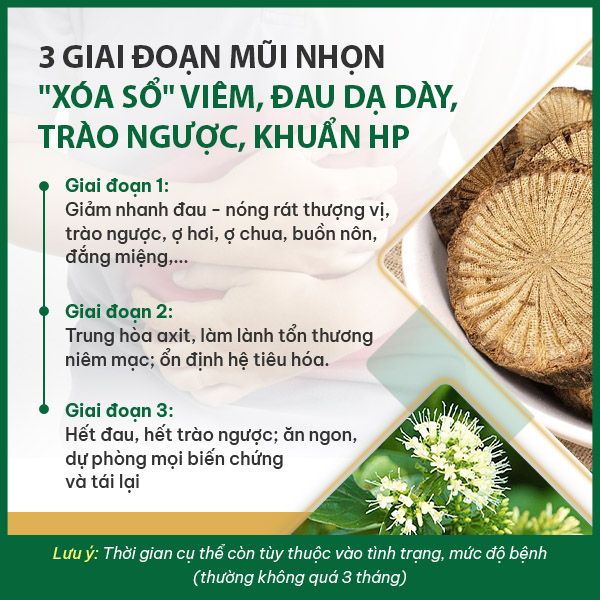 Lộ trình điều trị trào ngược dạ dày bằng Sơ can Bình vị tán