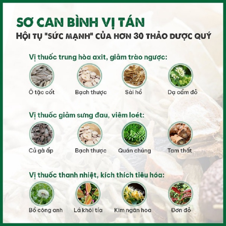 Một số nhóm thảo dược có trong Sơ can Bình vị tán