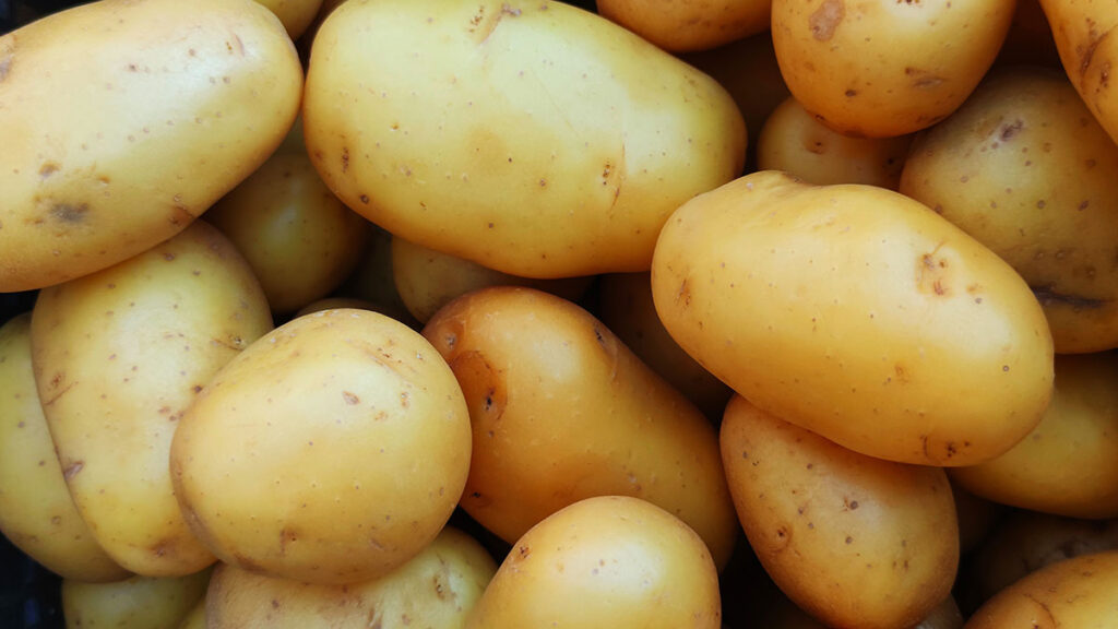 Ăn khoai tây giúp giảm đau bao tử