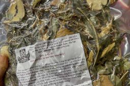 Thang thuốc chữa viêm xoang của Đỗ Minh Đường