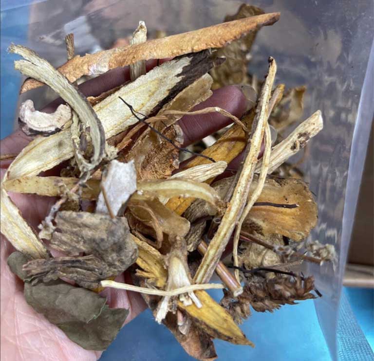 Từng vị thuốc được nghiên cứu cẩn thận trước khi đưa vào sử dụng Từng vị thuốc được nghiên cứu cẩn thận trước khi đưa vào sử dụng
