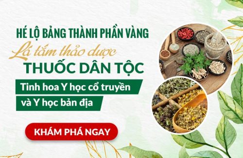 Giải Mã Bảng Thành Phần Làm Nên Hiệu Quả Của Lá Tắm Thảo Dược Thuốc Dân Tộc