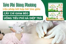 Tiêu Phì Đông Phương được kết hợp hài hòa giữa CẤY CHỈ VÀ TIÊU PHÌ HÀ DIỆP TRÀ