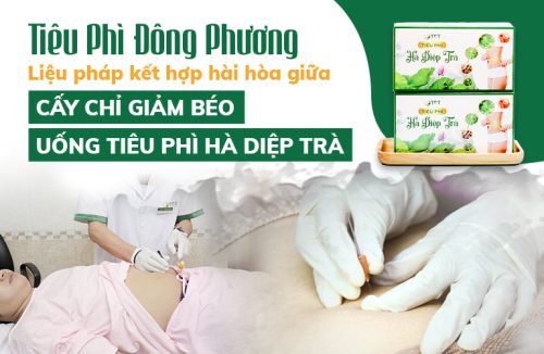 Tiêu Phì Đông Phương được kết hợp hài hòa giữa CẤY CHỈ VÀ TIÊU PHÌ HÀ DIỆP TRÀ