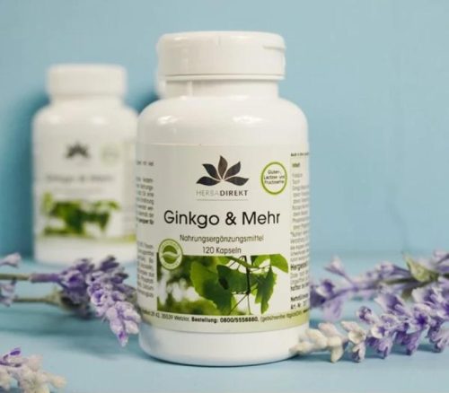 Viên uống hỗ trợ phòng ngừa đột quỵ của Đức GinkGo & Mehr