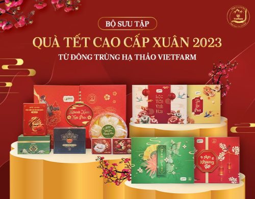 Trung tâm Thuốc Dân Tộc Ra Mắt Quà Tết Sức Khỏe Mừng Xuân 2023 Sang Trọng, Đẳng Cấp